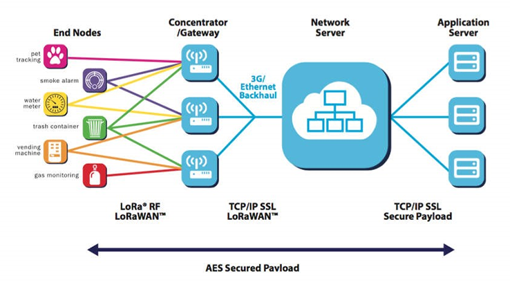 A diagram of a network

AI-generated content may be incorrect.
